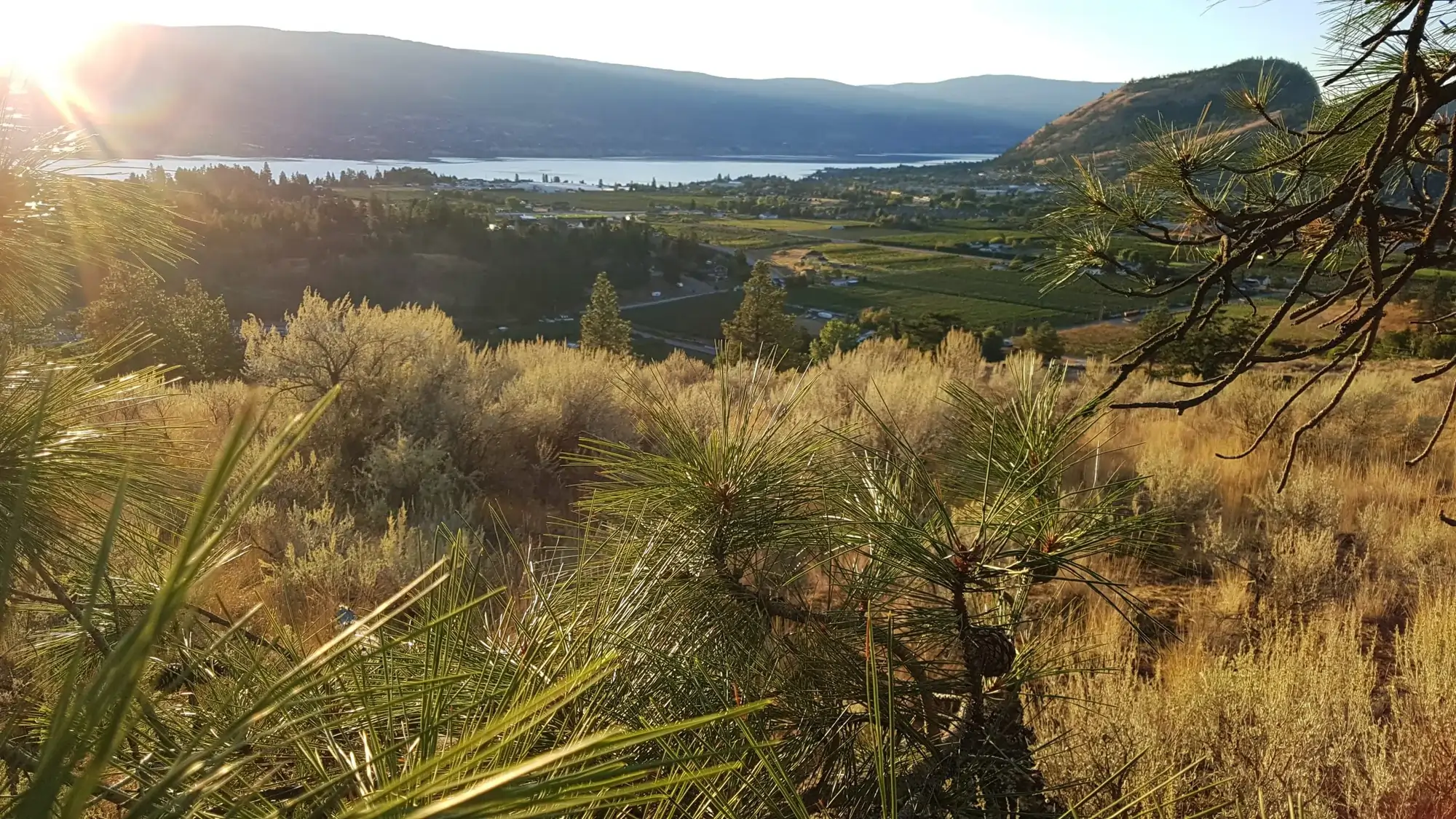 Hunter’s Hill in Summerland