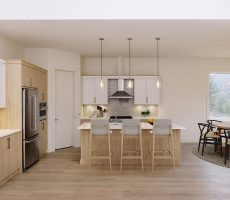 Bright Elegant Kitchen