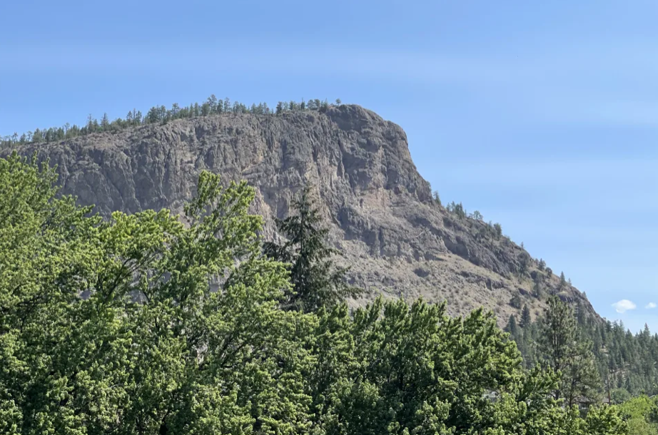 View of mountain peak with forest and trees from Giants Head hike.